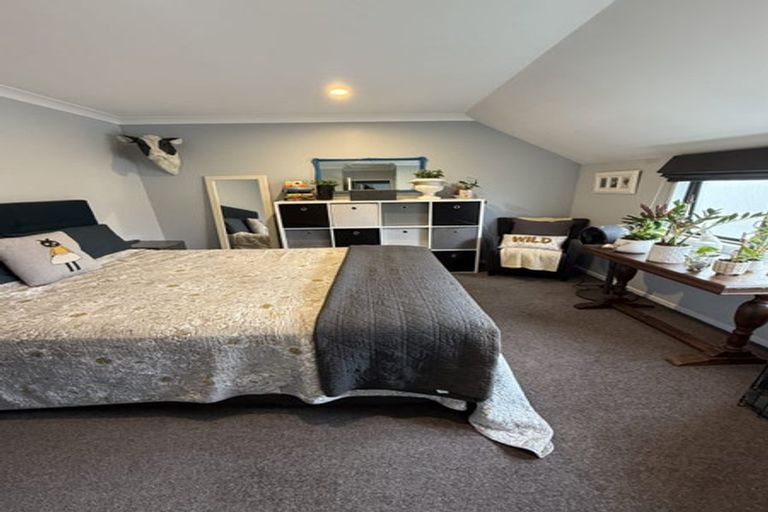 Photo of property in 438f Tristram Street, Whitiora, Hamilton, 3200