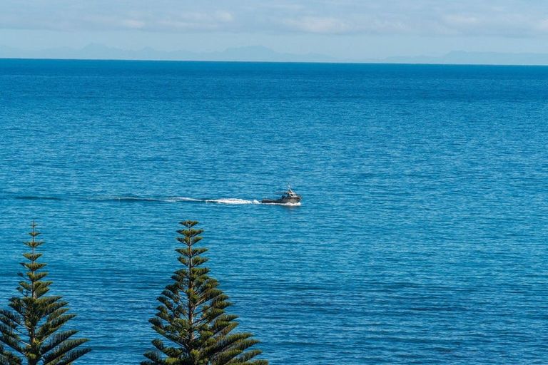 Photo of property in 22 Seaview Avenue, Cape Palliser, Pirinoa, 5772