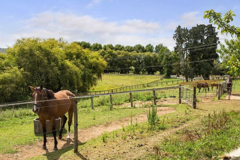 Photo of property in 36 Frankton Road, Waihi, 3682