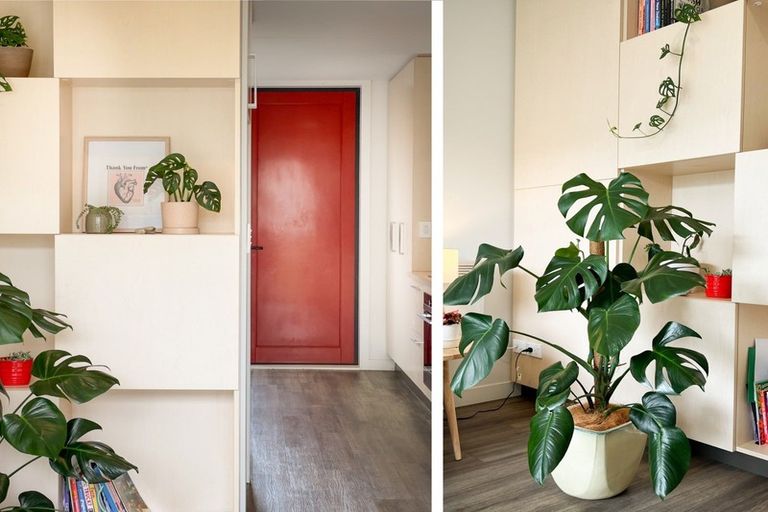 Photo of property in 24/10 Rex Street, Riccarton, Christchurch, 8041