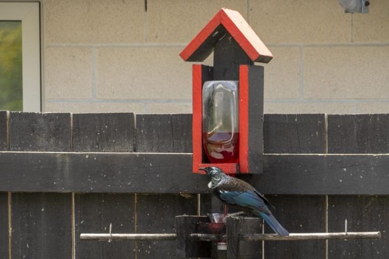 Photo of property in 15 Hansard Place, Bethlehem, Tauranga, 3110