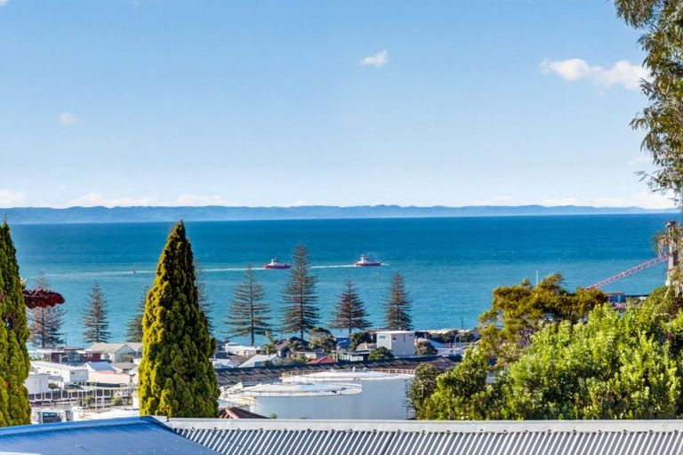 Photo of property in 122a Chaucer Road, Hospital Hill, Napier, 4110