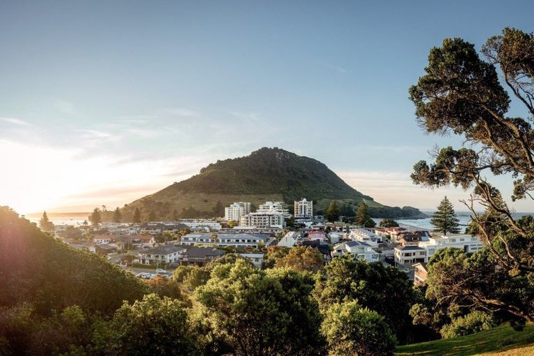 Photo of property in 62f Maunganui Road, Mount Maunganui, 3116