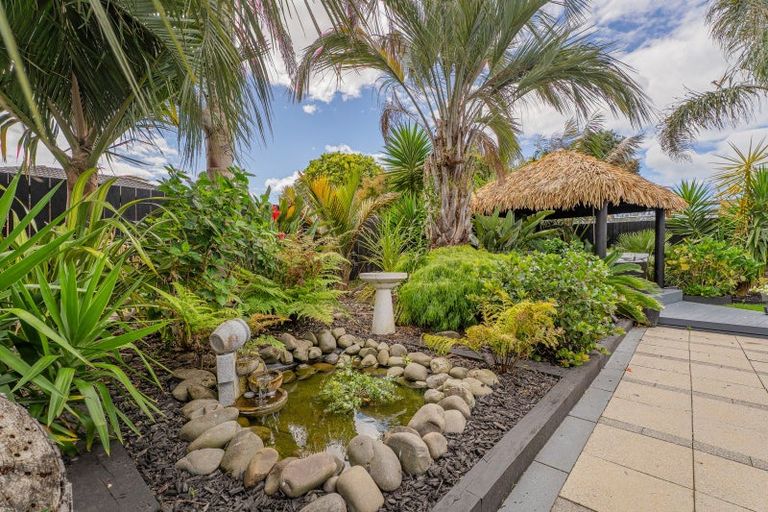Photo of property in 31 Wells Place, Whitianga, 3510