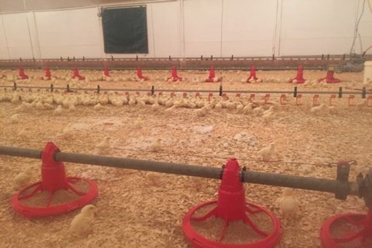 Photo of property in 28 Union Road, Howick, Auckland, 2014