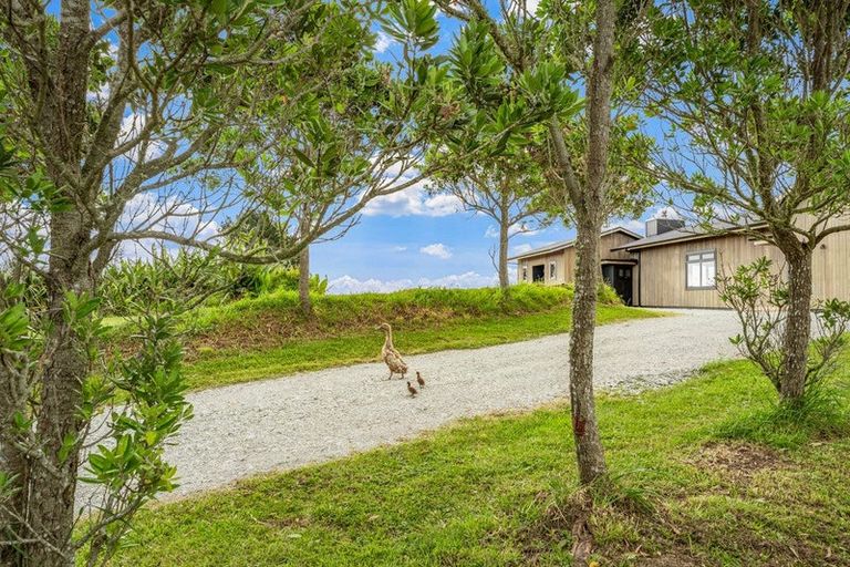 Photo of property in 328 Mainland Road, Kaipara Flats, Warkworth, 0984