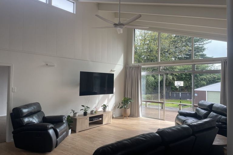 Photo of property in 20 Morrow Terrace, Pukekohe, 2120