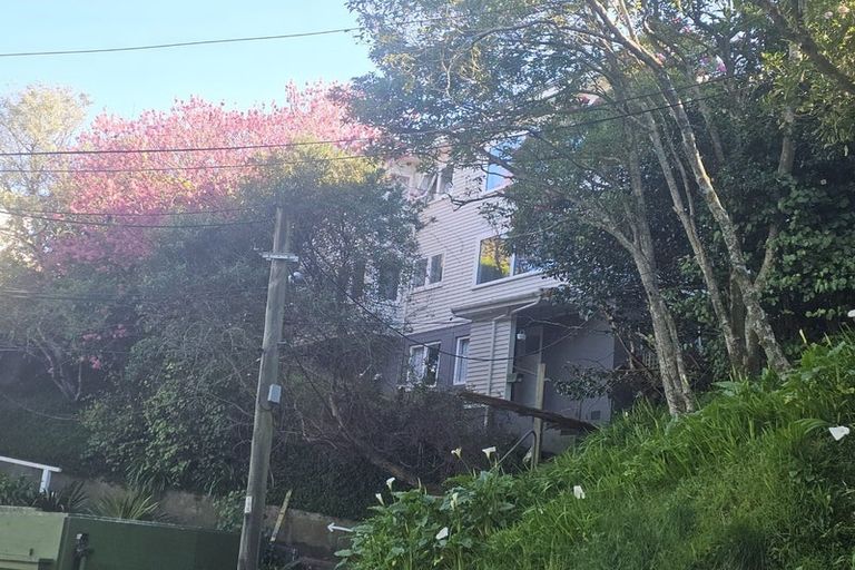 Photo of property in 64 Salamanca Road, Kelburn, Wellington, 6012