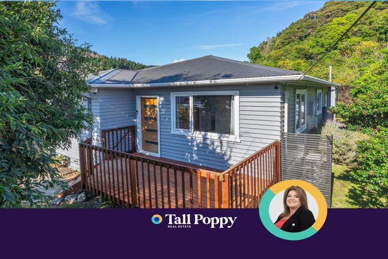 Photo of property in 26 Tongariro Street, Paraparaumu, 5032