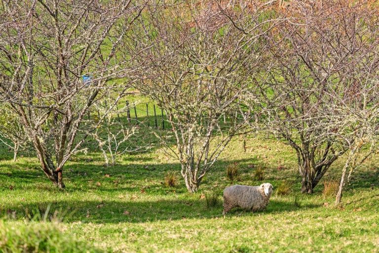 Photo of property in 763 Owhiwa Road, Parua Bay, Onerahi, 0192