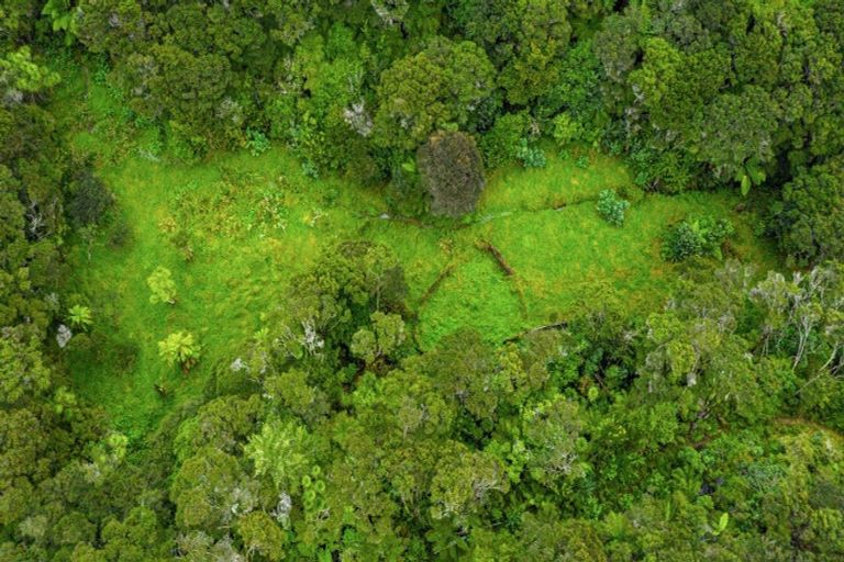 Photo of property in 31 Waimangaro Road, Opua, 0200