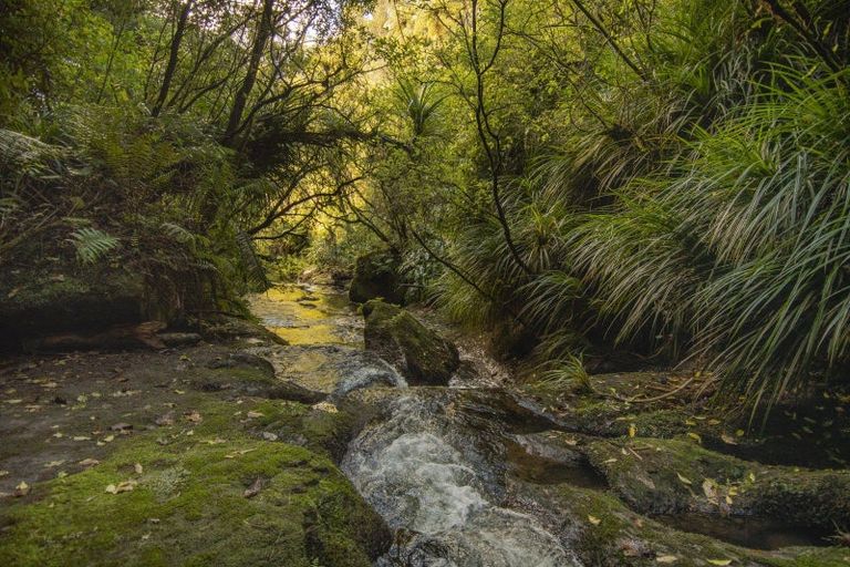 Photo of property in 614 Kaitemako Road, Welcome Bay, Tauranga, 3175