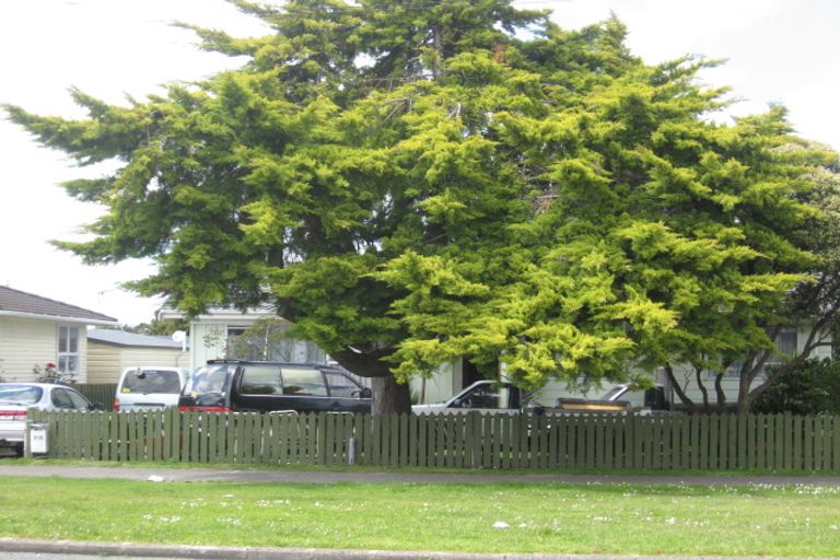 Photo of property in 216 Browns Road, Manurewa, Auckland, 2102