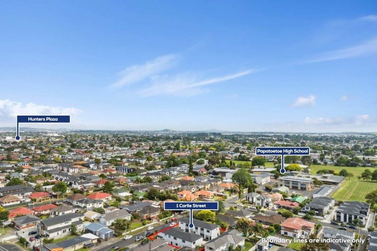 Photo of property in 1b Carlie Street, Papatoetoe, Auckland, 2025