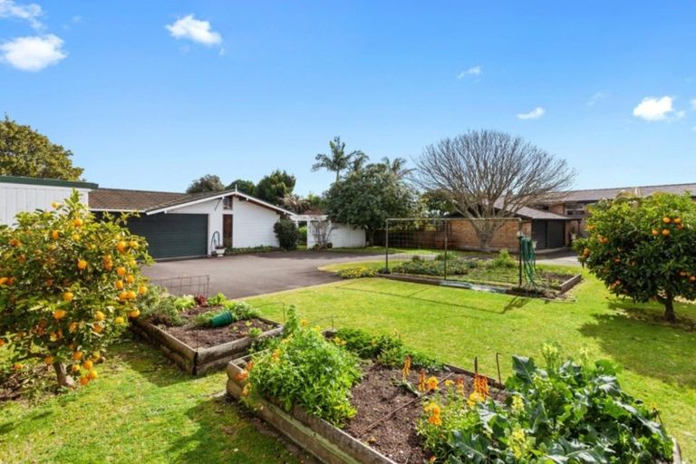 Photo of property in 5a Pouwhare Street, Whakatane, 3120