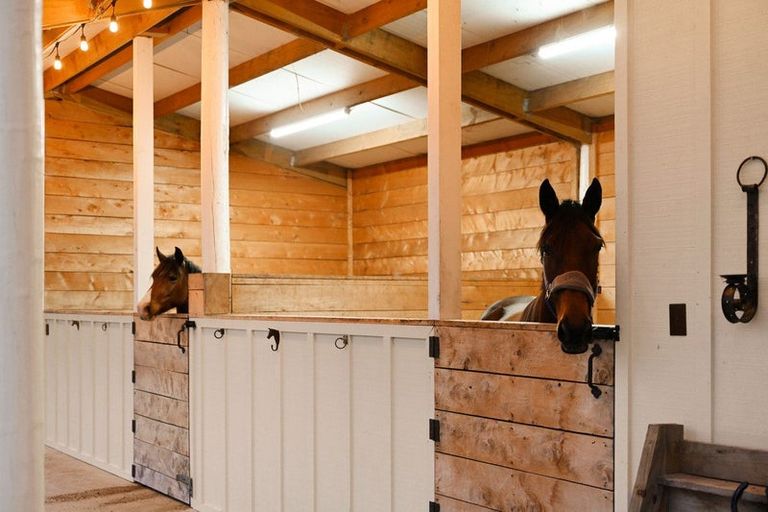 Photo of property in 2/138 Ranby Road, Ohaupo, 3883