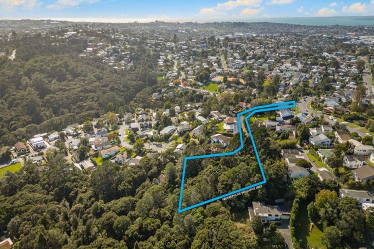 Photo of property in 69a Manuka Road, Bayview, Auckland, 0629