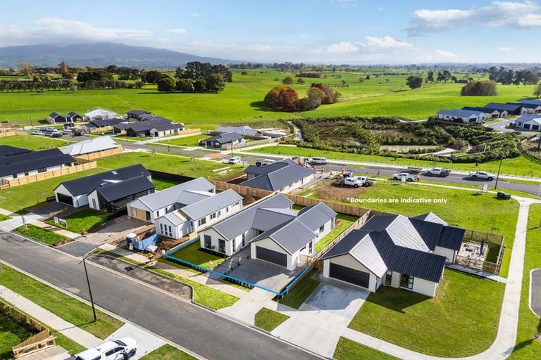 Photo of property in 533 Korimako Drive, Te Awamutu, 3800