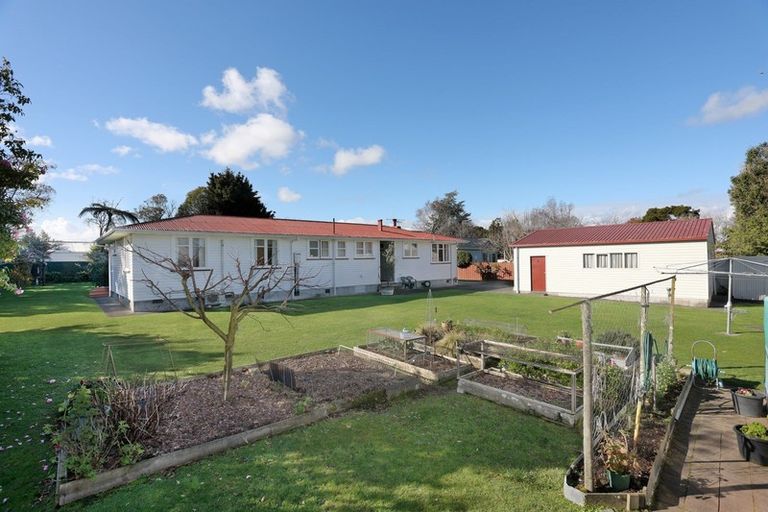 Photo of property in 21 Milne Street, Marton, 4710