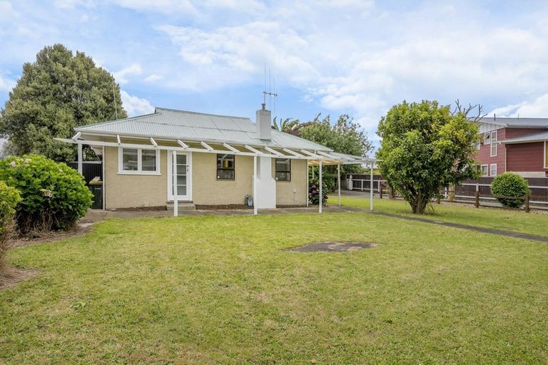 Photo of property in 191 Tiro Tiro Road, Levin, 5510