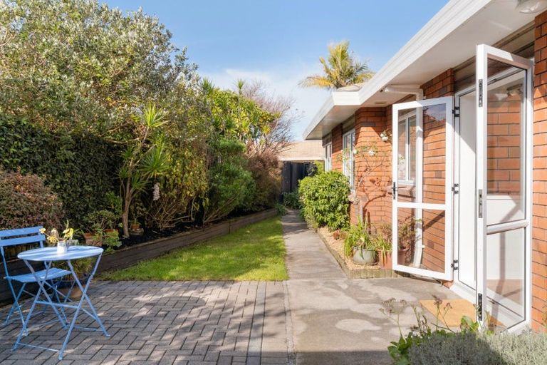 Photo of property in 55 Bayfair Drive, Mount Maunganui, 3116