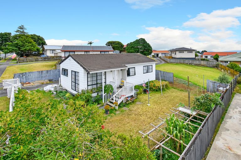 Photo of property in 193 Finlayson Avenue, Clendon Park, Auckland, 2103