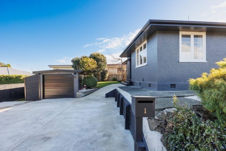 Photo of property in 1 Salisbury Avenue, Terrace End, Palmerston North, 4410