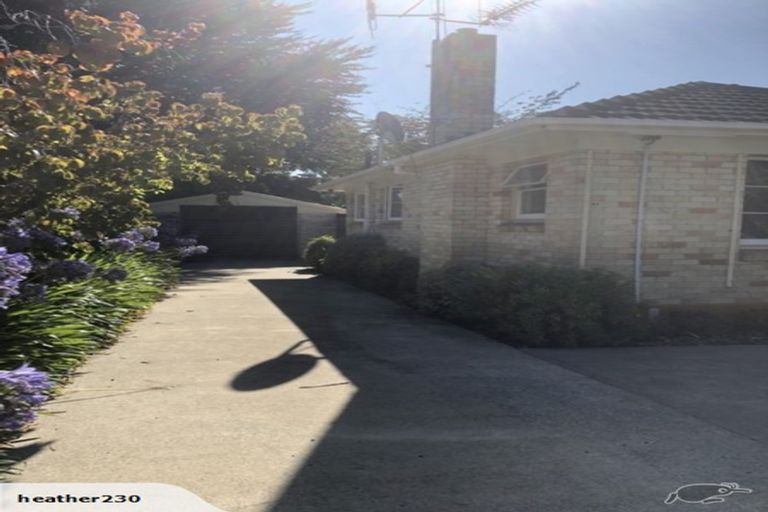 Photo of property in 41 Nixon Street, Hamilton East, Hamilton, 3216