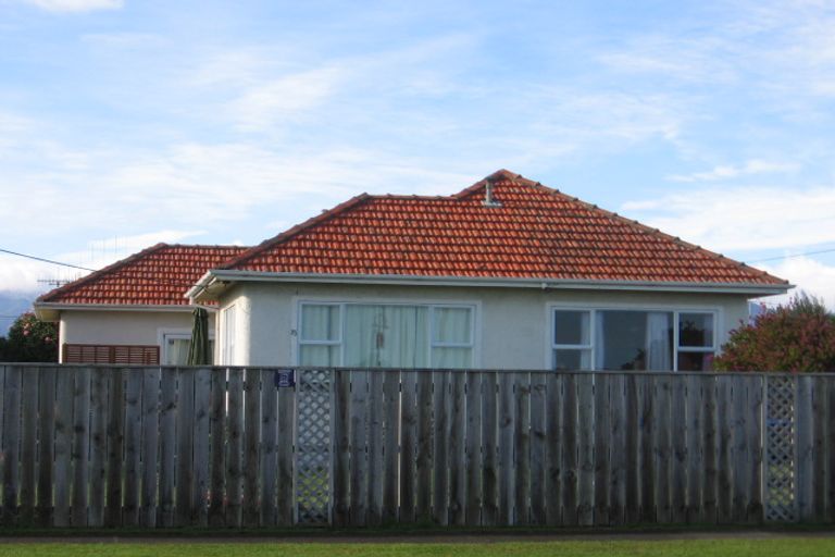 Photo of property in 15 Reeve Street, Levin, 5510