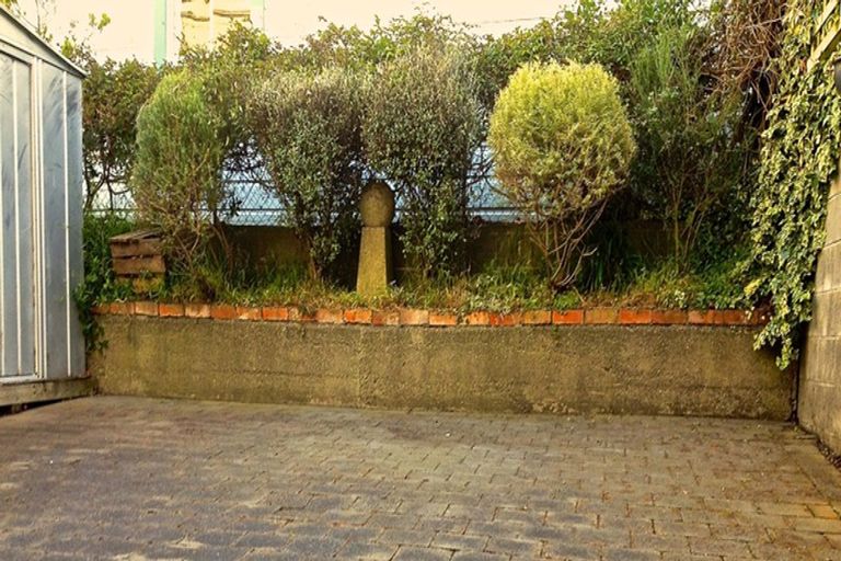 Photo of property in 58 Wright Street, Mount Cook, Wellington, 6021