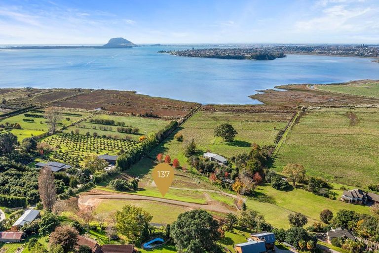 Photo of property in 137 Lochhead Road, Te Puna, Tauranga, 3176