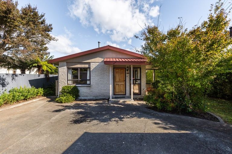 Photo of property in 101 Mayfair Avenue, Mayfair, Hastings, 4122