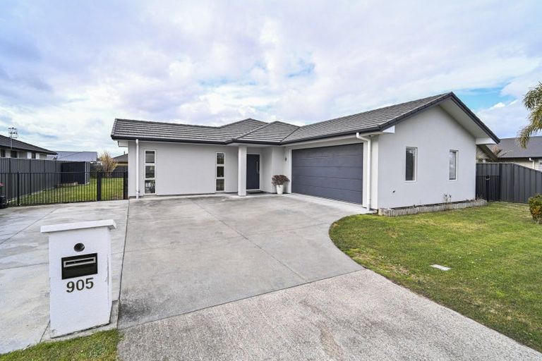 Photo of property in 905 Williams Street, Mahora, Hastings, 4120