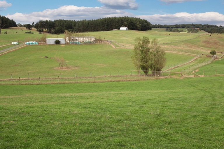 Photo of property in 95a Ostrich Farm Road, Pukekohe, 2676