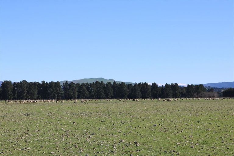 Photo of property in 161 Innes Road, St Albans, Christchurch, 8052