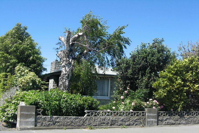 Photo of property in 23 Stuart Street, Blenheim, 7201