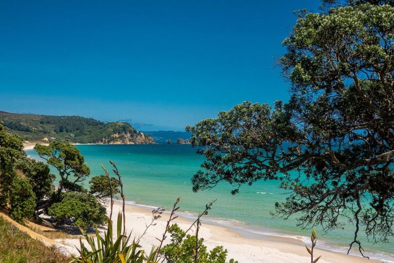 Photo of property in 2 Matapaua Bay Road, Opito Bay, Whitianga, 3592