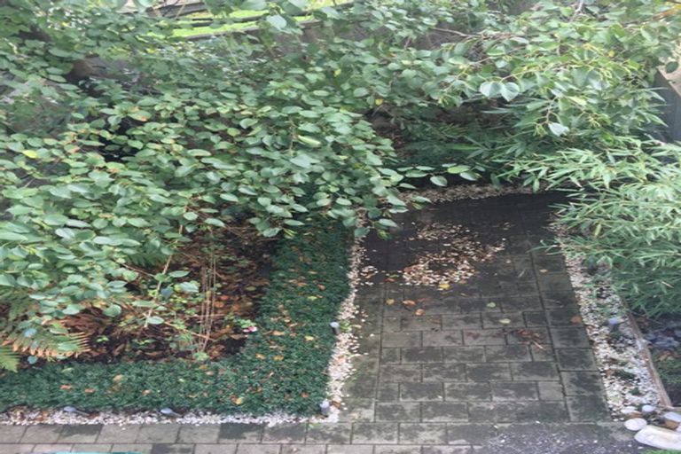 Photo of property in 12/37 Daniell Street, Newtown, Wellington, 6021