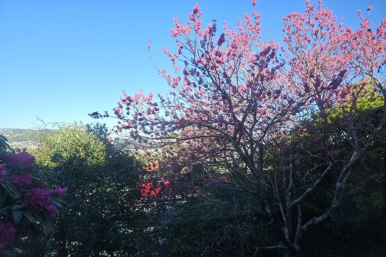 Photo of property in 64 Salamanca Road, Kelburn, Wellington, 6012