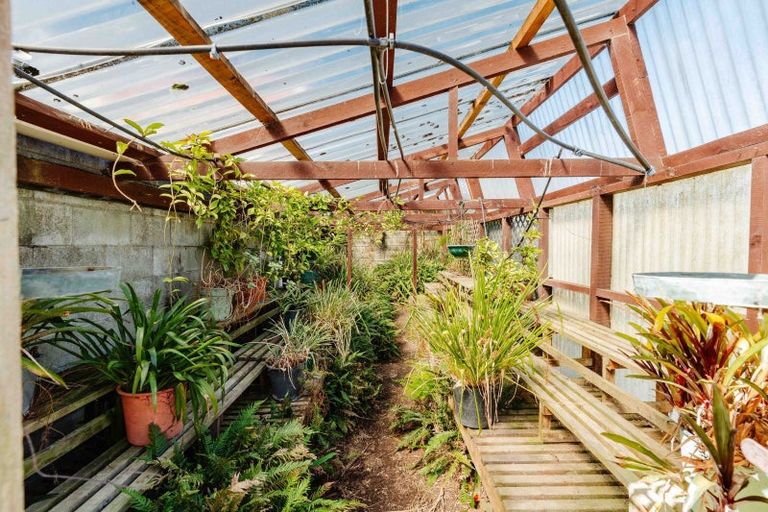 Photo of property in 38 Norris Street, Tauranga, 3110