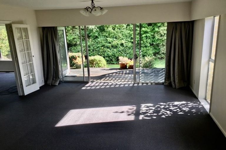 Photo of property in 65 Walters Road, Marshland, Christchurch, 8051