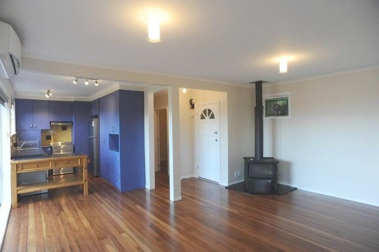 Photo of property in 149 The Ridgeway, Mornington, Wellington, 6021