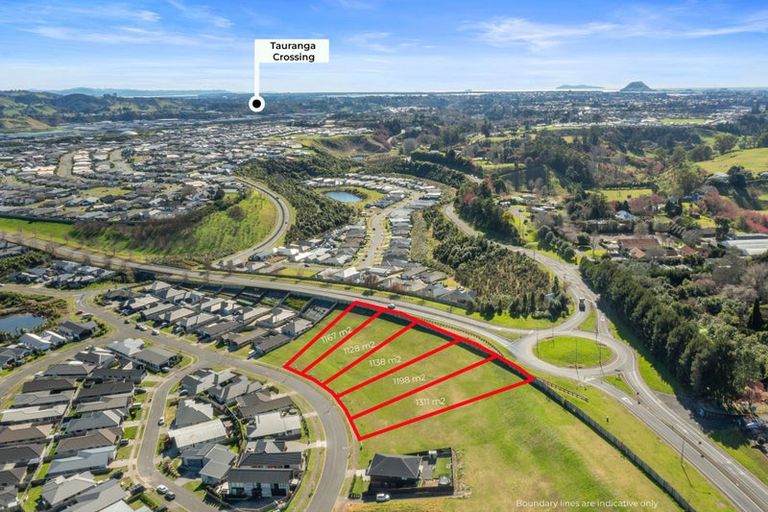 Photo of property in 55 Whakaturou Crescent, Pyes Pa, Tauranga, 3112