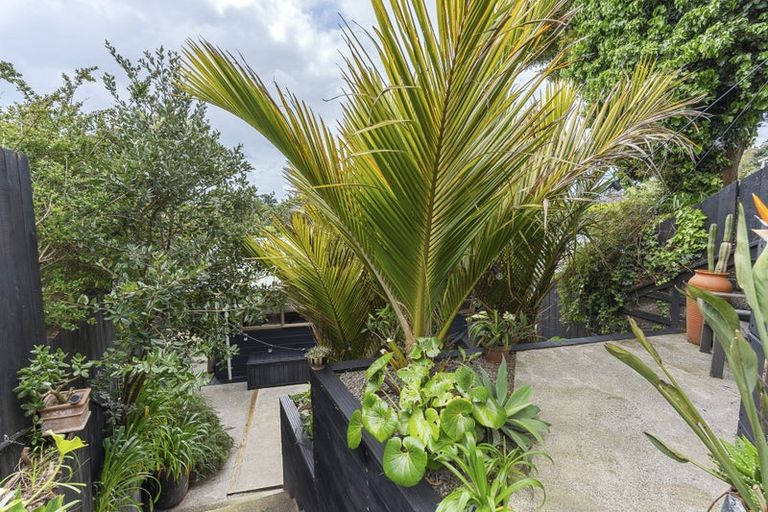 Photo of property in 12b Wheeler Place, Upper Vogeltown, New Plymouth, 4310