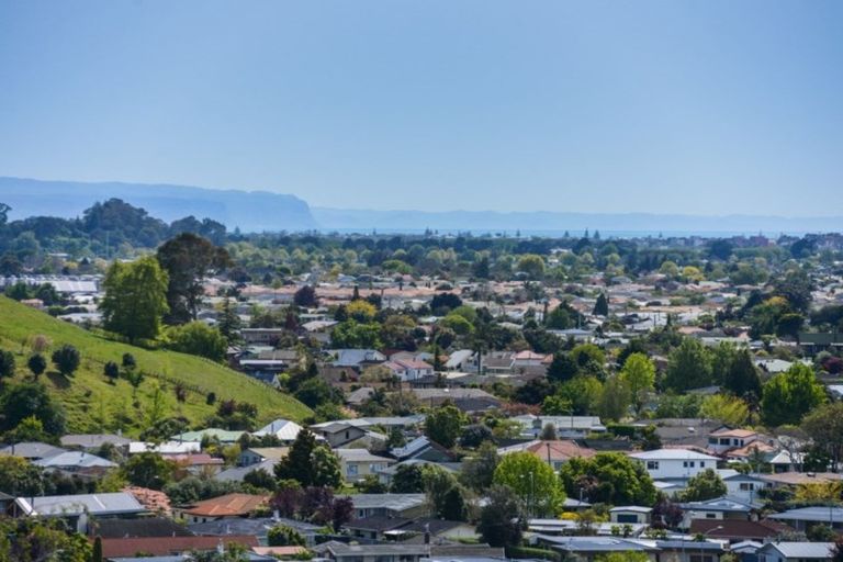 Photo of property in 56 Churchill Drive, Taradale, Napier, 4112