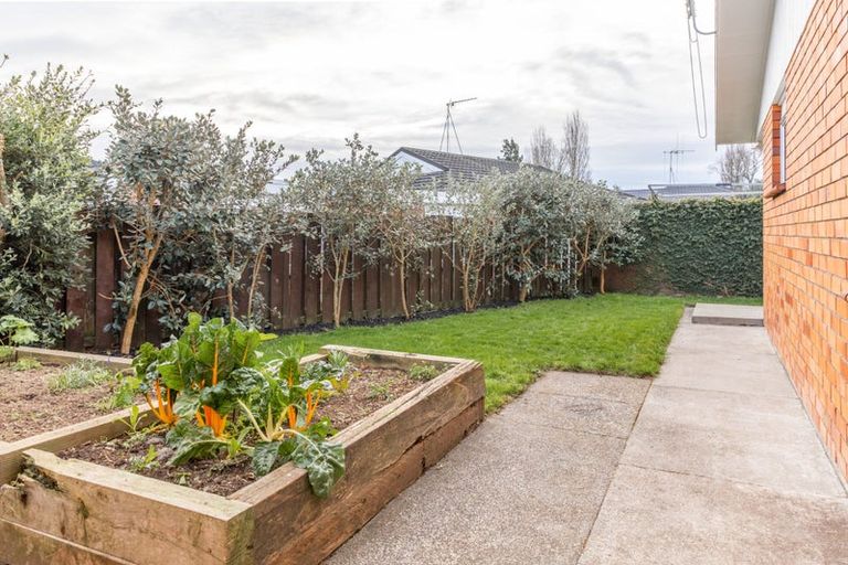 Photo of property in 203u2 Galloway Street, Hamilton East, Hamilton, 3216