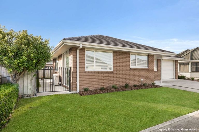 Photo of property in 24a Rata Street, Roslyn, Palmerston North, 4414