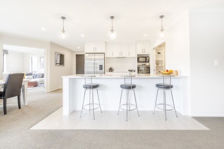 Photo of property in 9 Brian Cowley Place, Tuakau, 2121