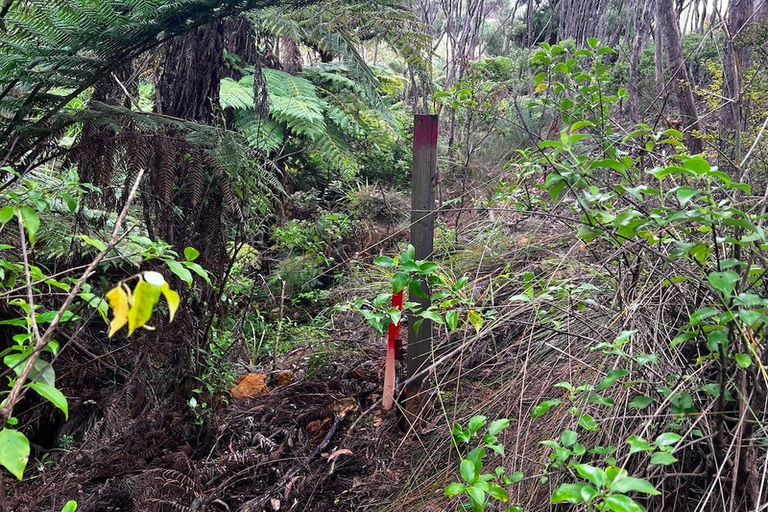 Photo of property in 25 Te Ahu Place, Karikari Peninsula, 0483