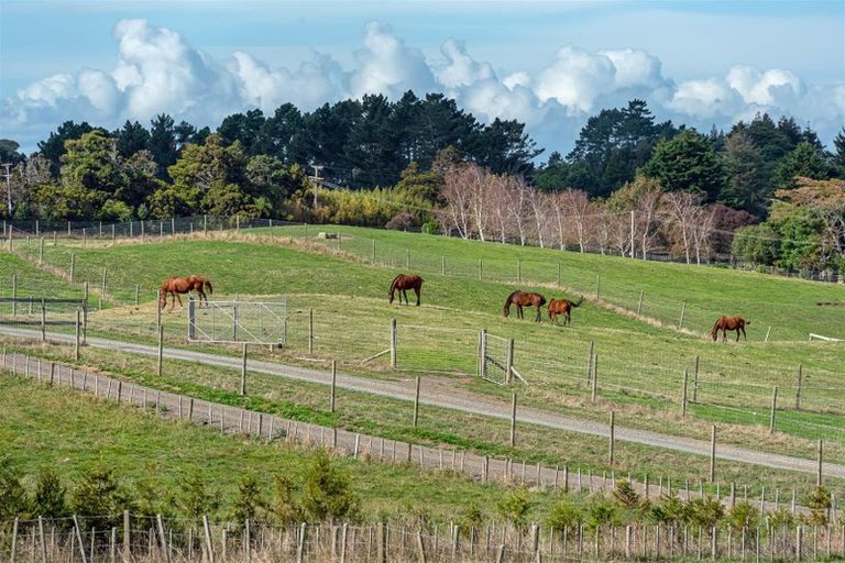 Photo of property in 139 Ostrich Farm Road, Pukekohe, 2676